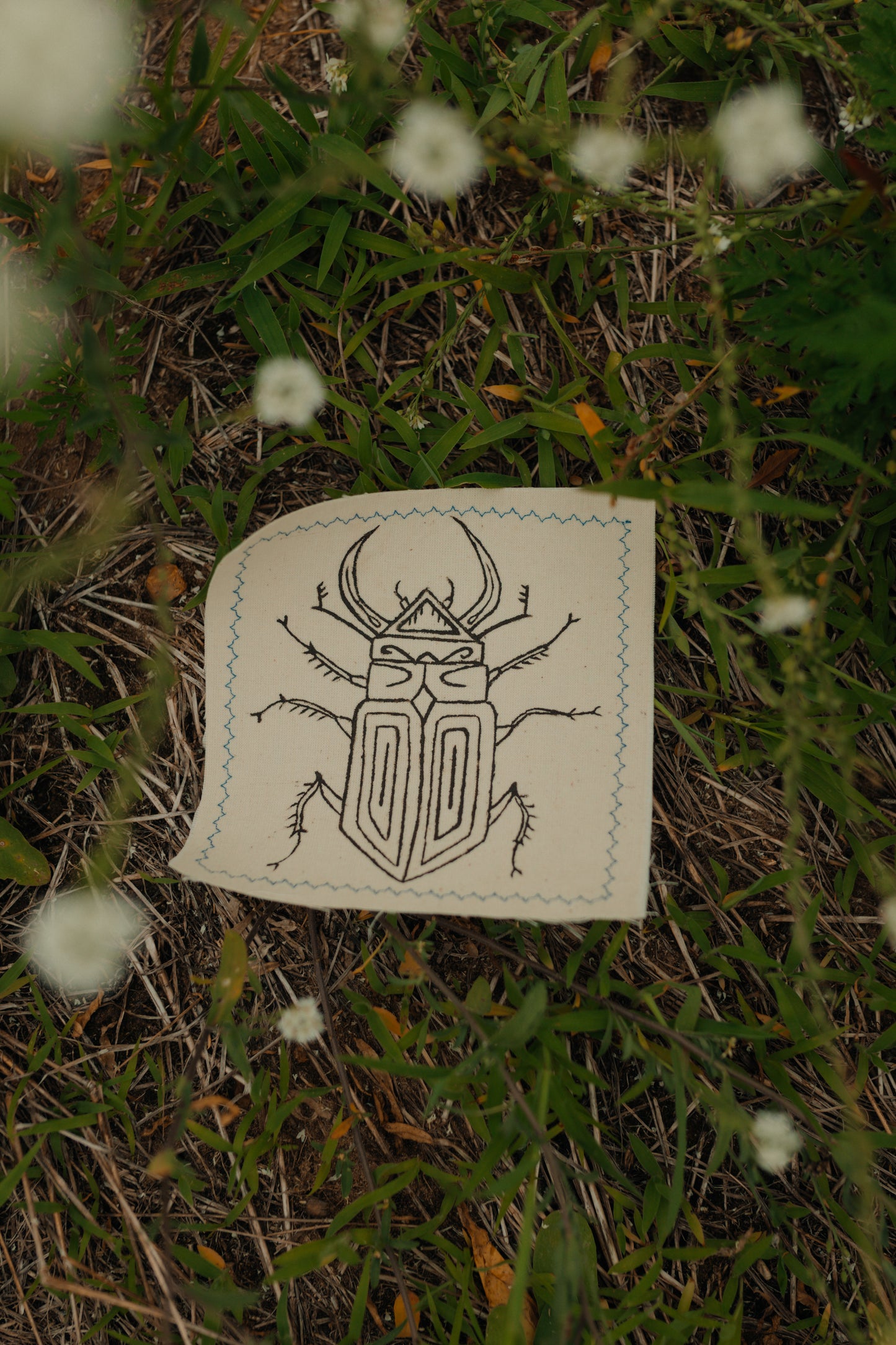 Brown Beetle Patch