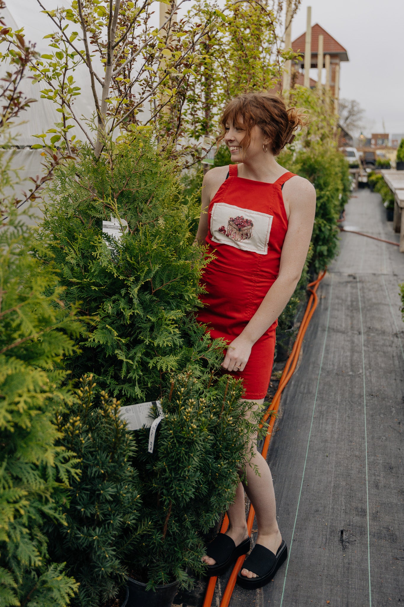 Strawberry Quart Dress