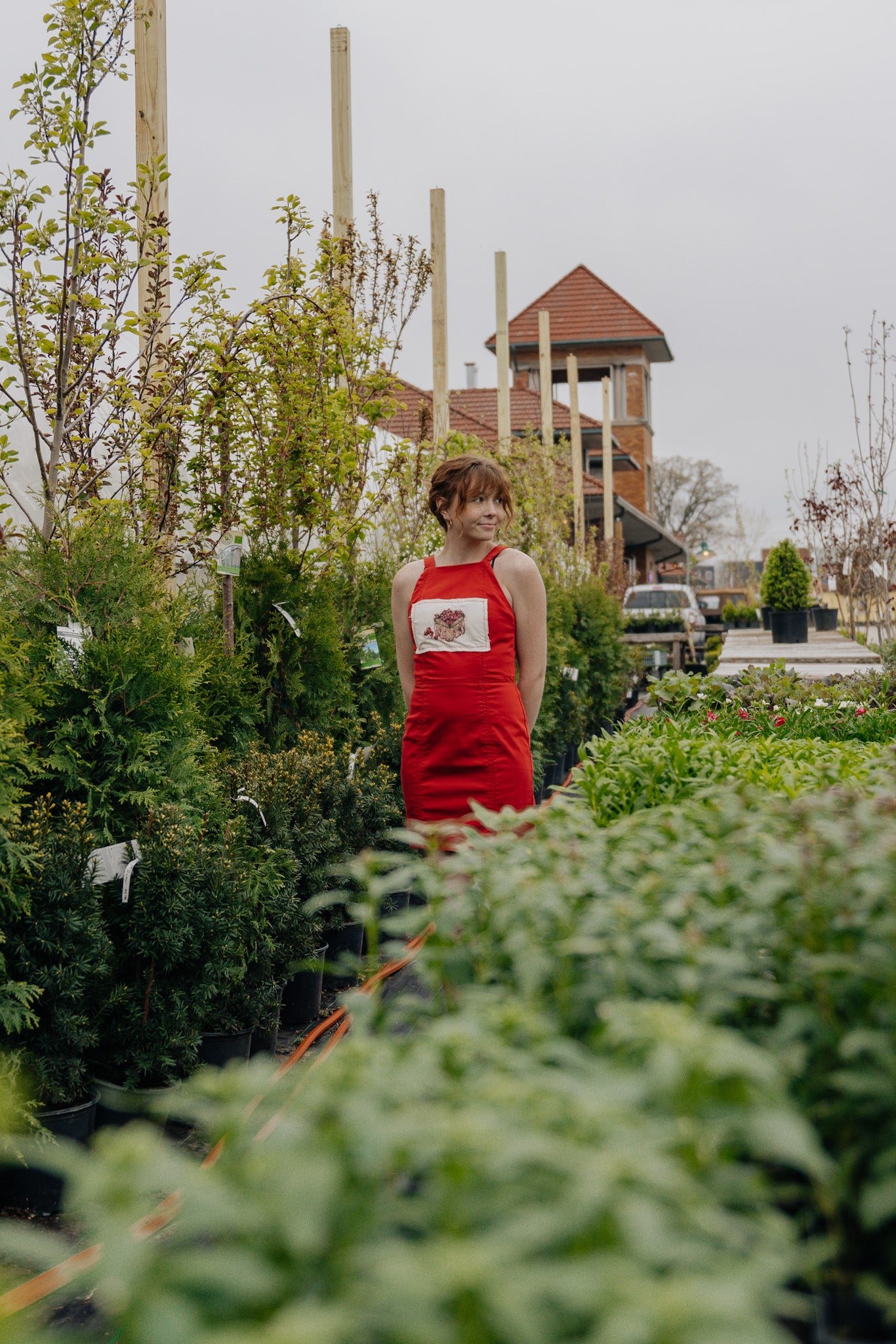 Strawberry Quart Dress