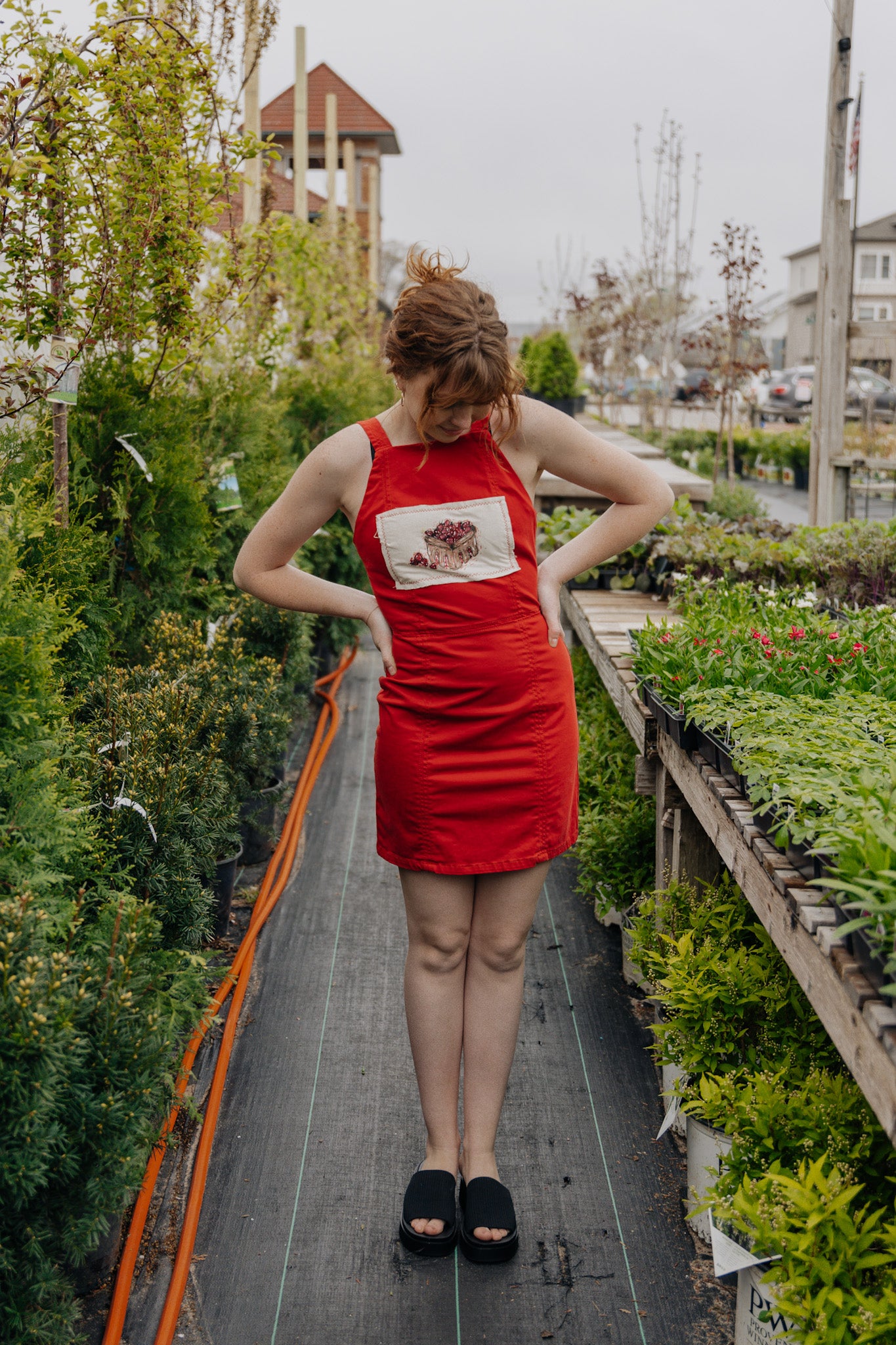 Strawberry Quart Dress