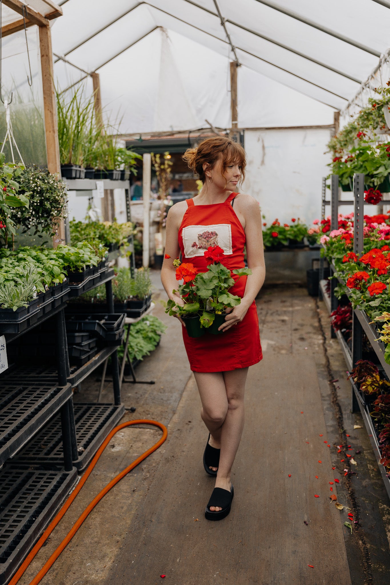 Strawberry Quart Dress