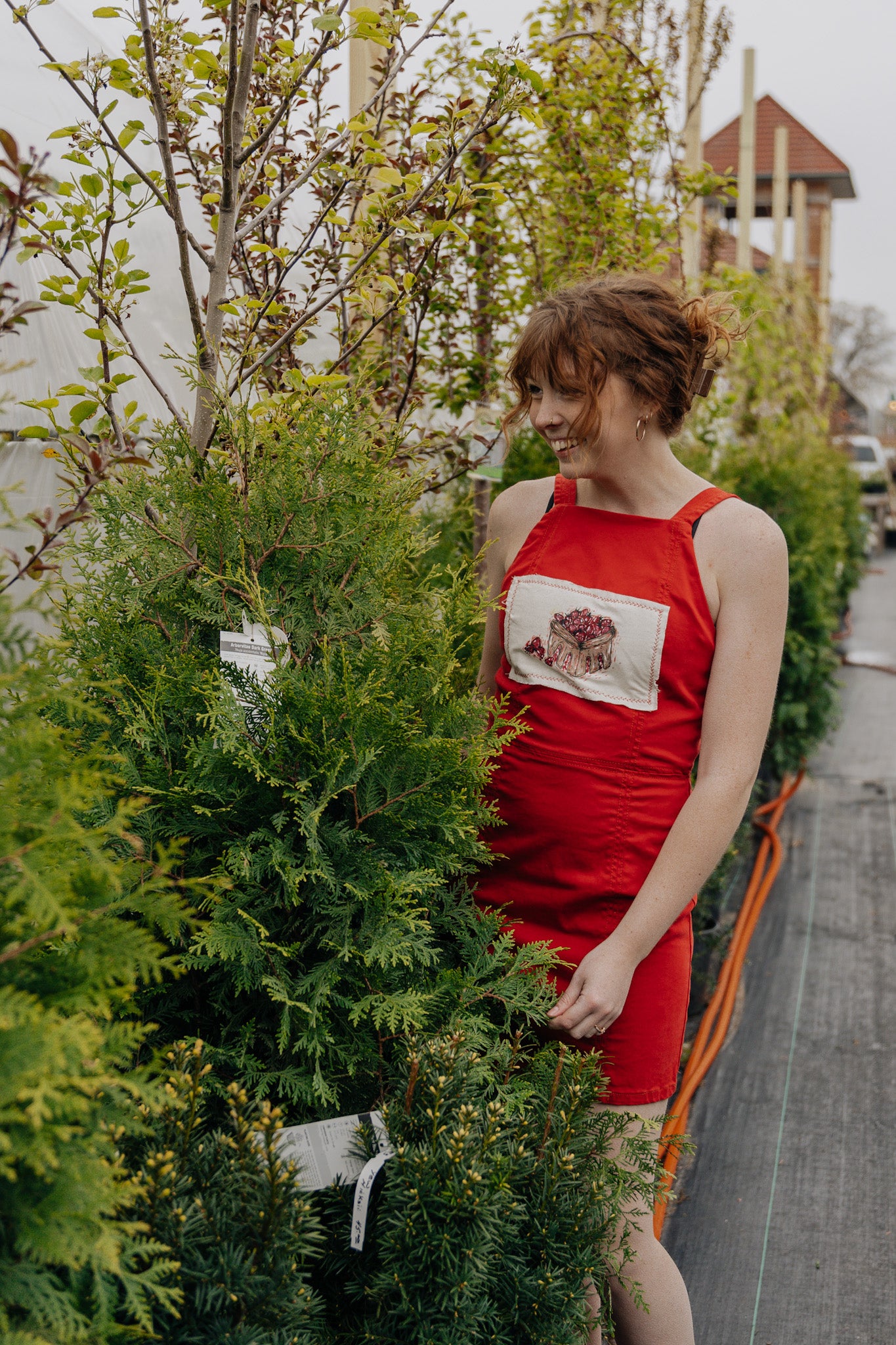 Strawberry Quart Dress