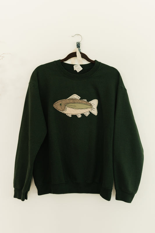 Fish patched green crewneck